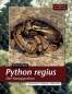 Preview: Python regius – Der Königspython